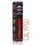 Cougar Beauty 24HR Liquid Lipstick Calypso