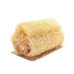 Natural Luffah Sponge 12-15cm